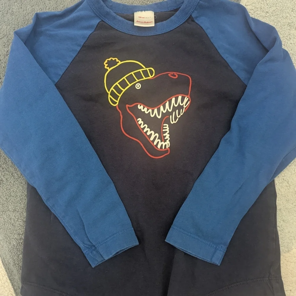 Hanna Andersson Blue Long Sleeve Tee with Fun Dinosaur Design